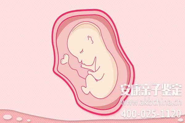 广州更佳的胎儿亲子鉴定方法（安康为胎儿做亲子鉴定） 