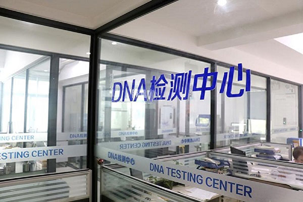 广州DNA亲子鉴定费用多少？（揭秘亲子鉴定的收费标准） 